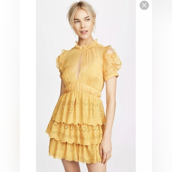Self-Portrait NWOT Embroidered Chiffon Tiered Mini Dress In Gold Yellow Size 4 - Picture 3 of 16